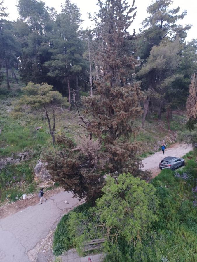 Ένα Μέρος Για Ήσυχες Διακοπές Lägenhet Ioánnina Exteriör bild